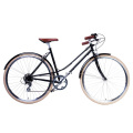 26′′ Hi-Ten Steel Lady City Bike